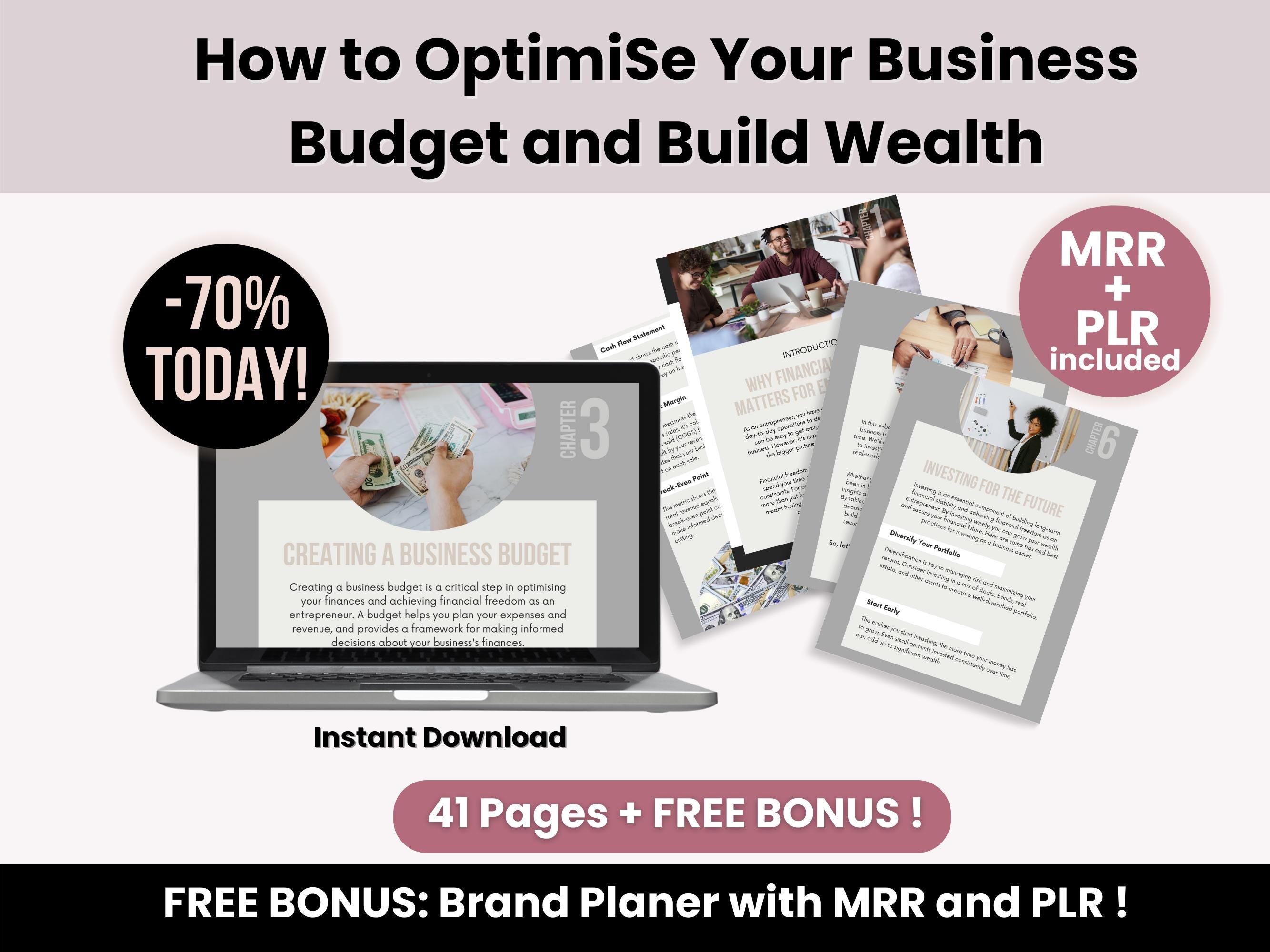 E-book the Entrepreneur’s Guide to Financial Freedom With MRR and PLR ...
