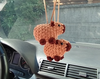 Capybara compact spiegeltje - kies je favoriet