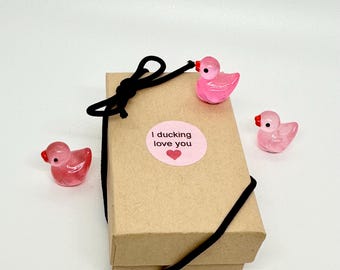 Pink Duck Hinge Toppers: Magnetic Home Decor, Set of 3