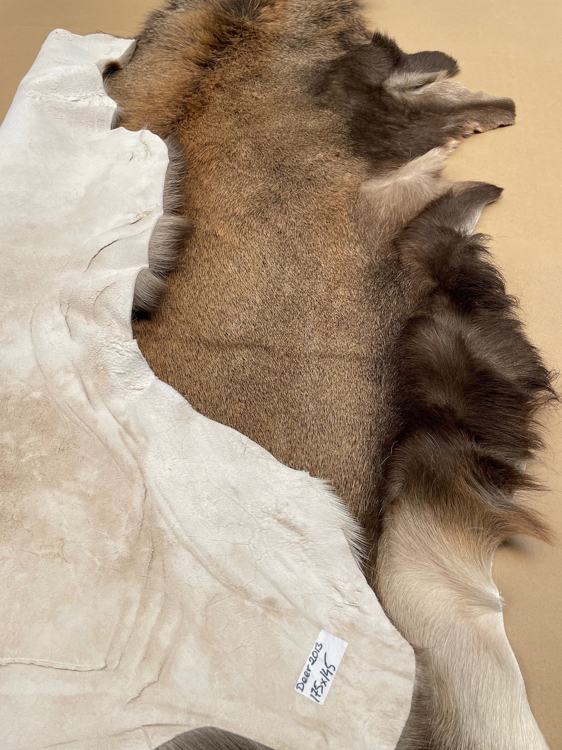 Unique Stag Deer rug / Red Deer rug leather 100Real 5.7 ft x Etsy