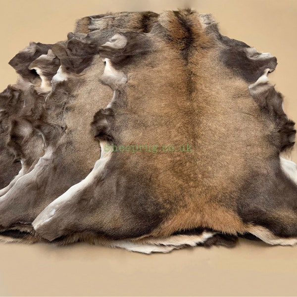 Deer Hide - Etsy