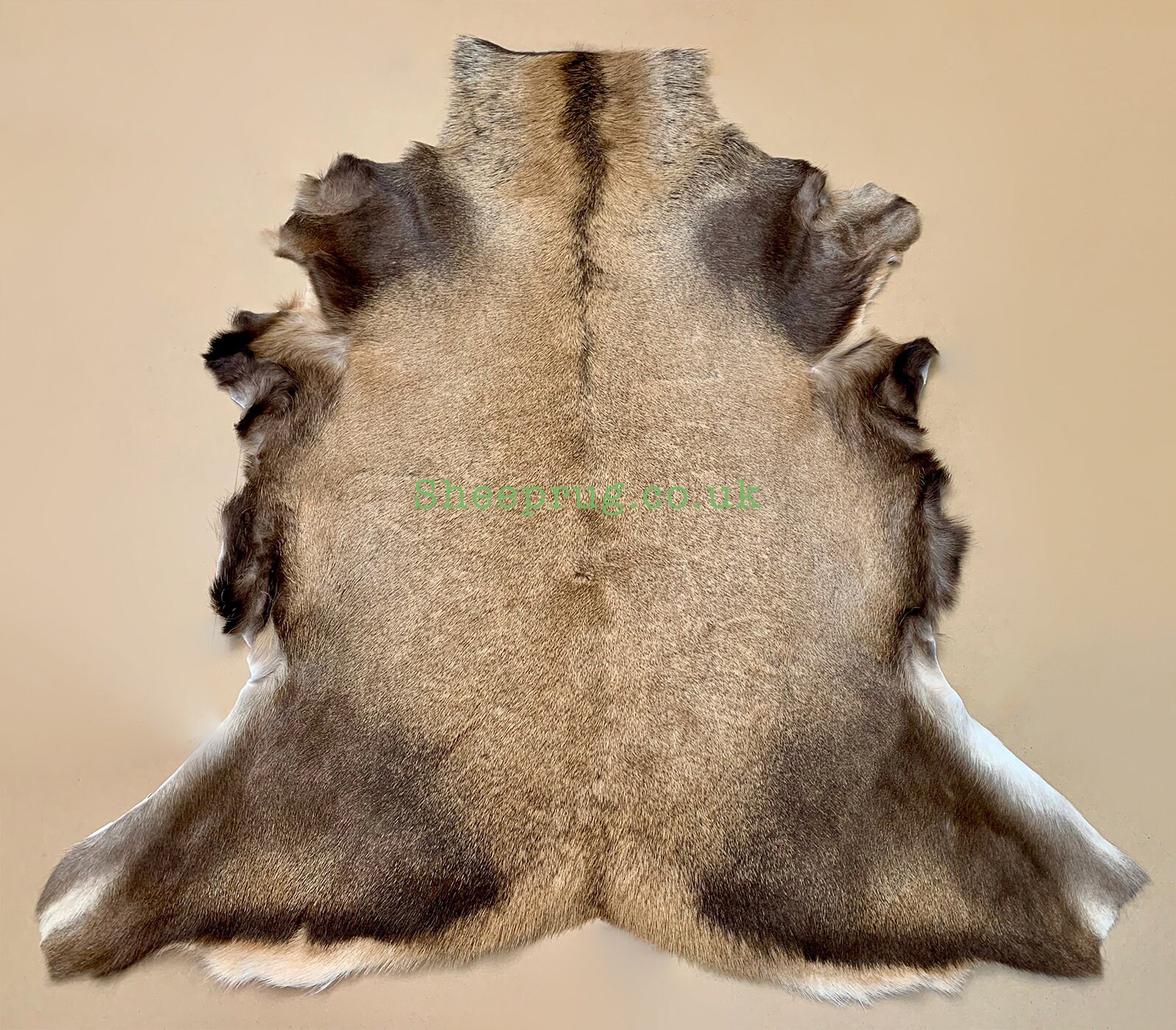 Unique Stag Deer rug / Red Deer rug fur hide leather 100 Real Etsy