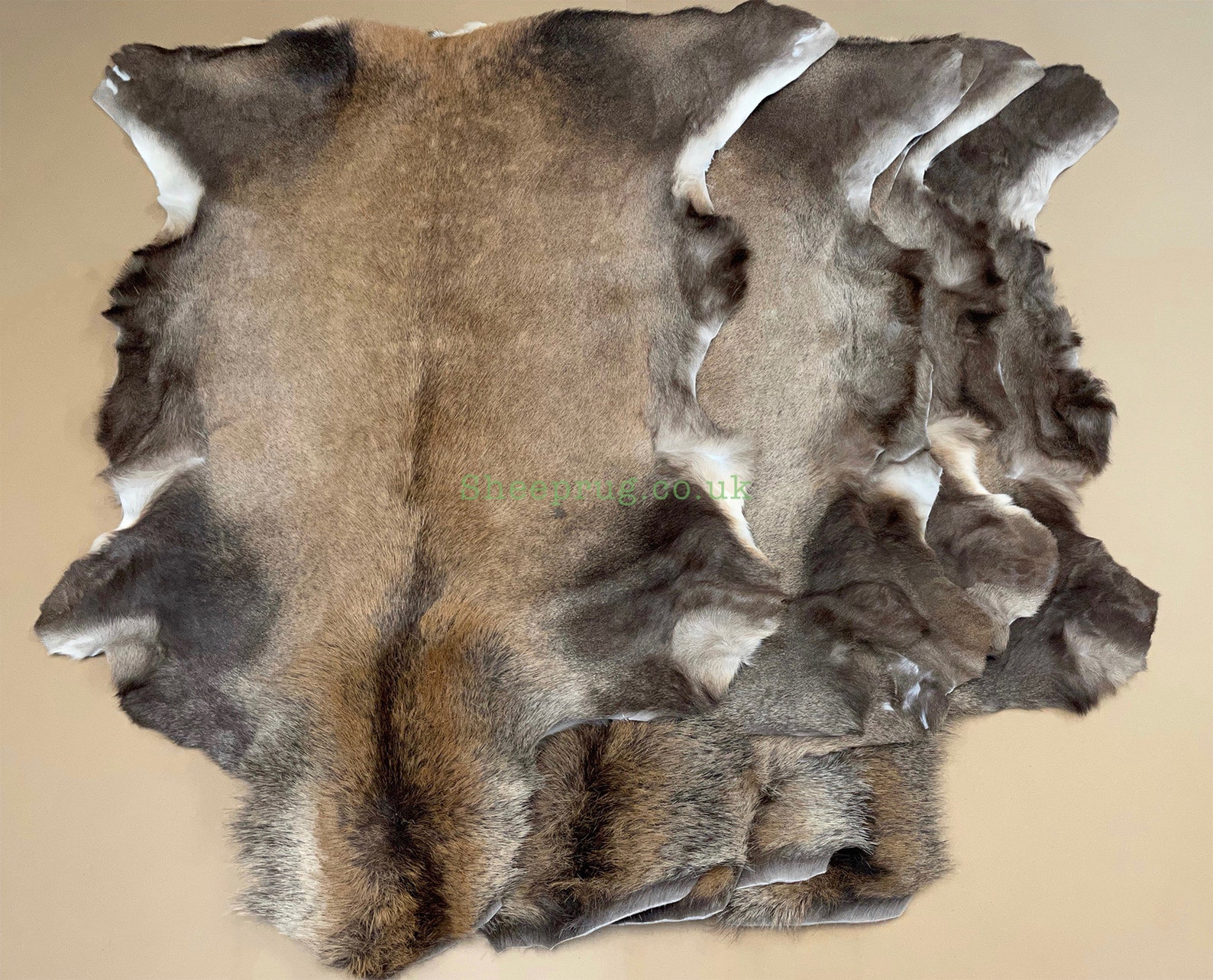 Stag Deer rug/Red Deer rug hide leather 100 RealFallow Deer Etsy