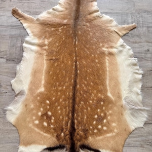Peut inclure: Un tapis en peau de cerf avec un motif tacheté naturel marron et blanc. Le tapis présente une bande centrale marron, entourée de sections marron clair et blanches. La peau a un aspect doux et texturé.