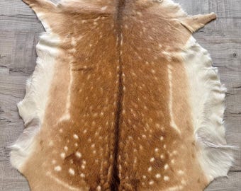 Real Fallow Deer Rug: European Leather Hide, Wall Hanging or Floor Decor (110x82cm)