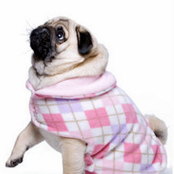 Pug Snuggly's Preppy Pink Argyle. Matching Chilly Beanie purchase separately
