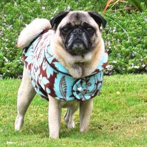 Pug Snuggly&#39;s Turquoise Floral Mid-weight Warmth Fleeced Jacket