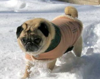 Cold Climate Winter Coat: Tan Winterfleece
