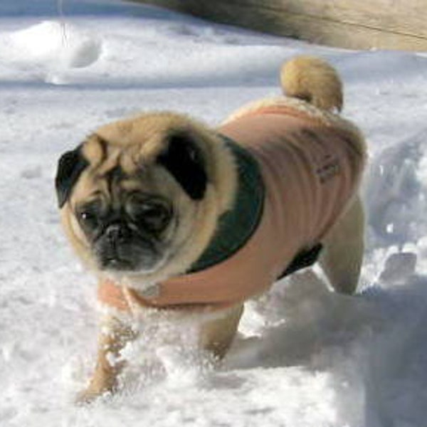 Manteau Tan Winterfleece de Pug Snuggly (tous les manteaux n'ont pas de logo brodé)