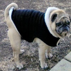 Pug Snuggly&#39;s Winter Noah Coat
