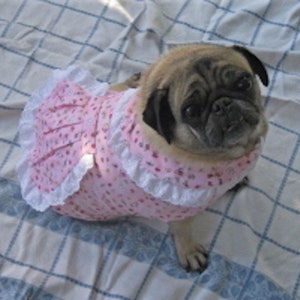 Sleepwear: Jammies for Girl Pugs