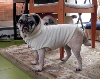 outfits for pugs