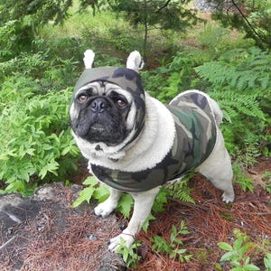 Chilly Beanie Hat: Waterproof Adventure Camo Hat