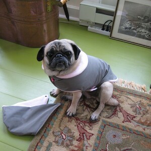 Regnkläder för mopsar: Seattle Gray Day Buster