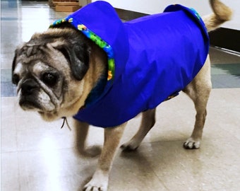 Raincoats for Pugs: Tropical Rain Hoodie Royal Blue