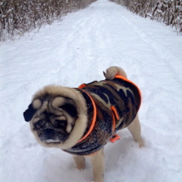 Pug Snuggly's Cargo Camo Fleece/Winter Jacket