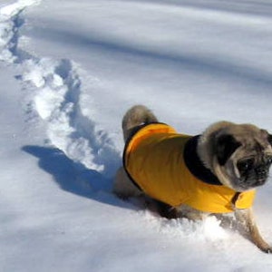 Pug Snuggly's Snow Patrol/Winter Coat with Thinsulate