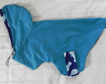 Raincoats for Pugs: Tropical Rain Hoodie Turquoise