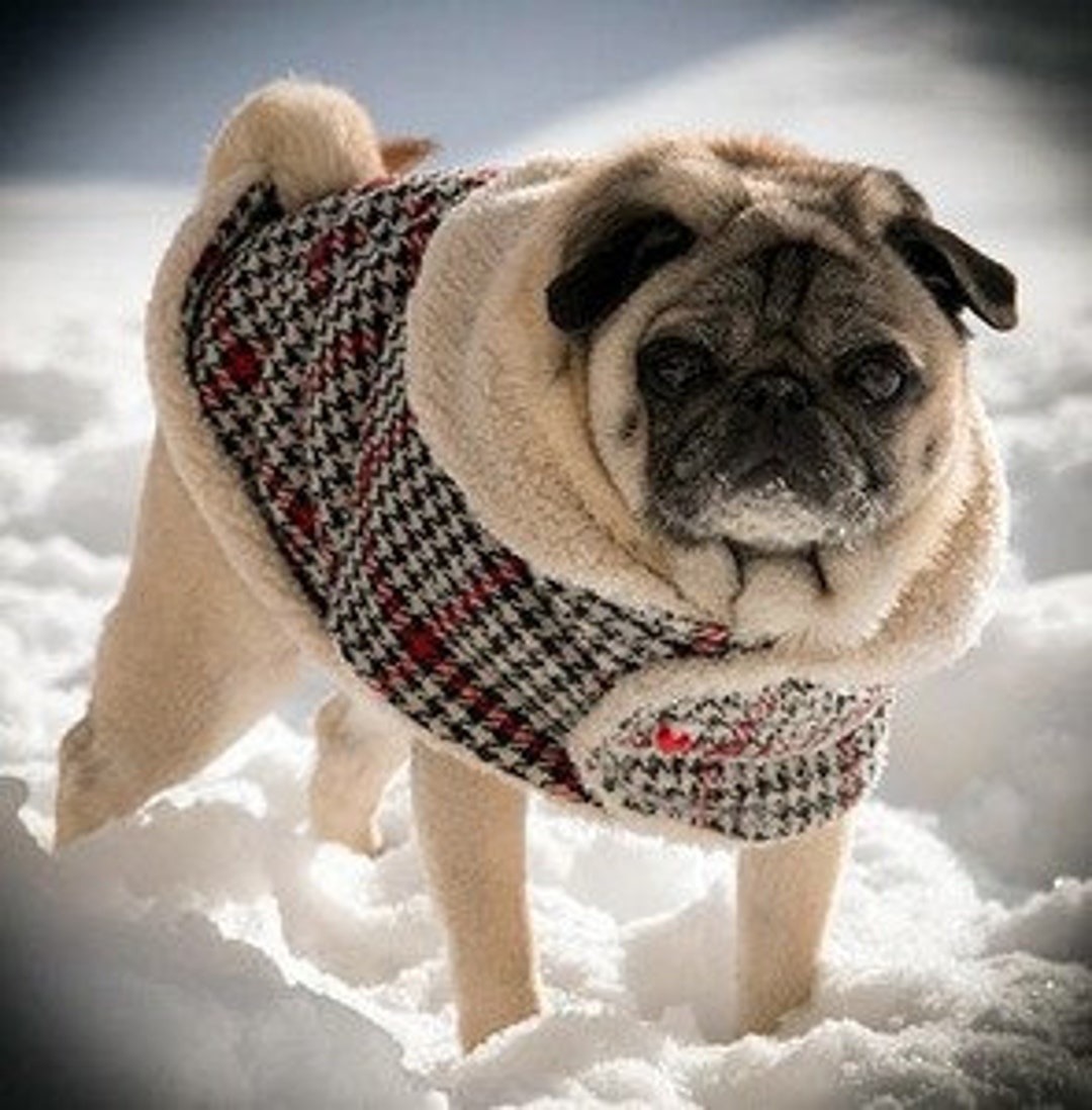 Pug jackets on sale uk