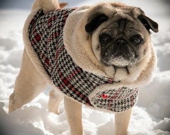 Pug Snuggly's Lads & Lassies Woolen Coat/Winter Coat