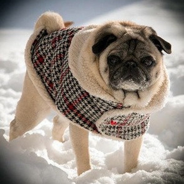 Manteau en laine/manteau d'hiver Lads & Lassies Pug Snuggly's