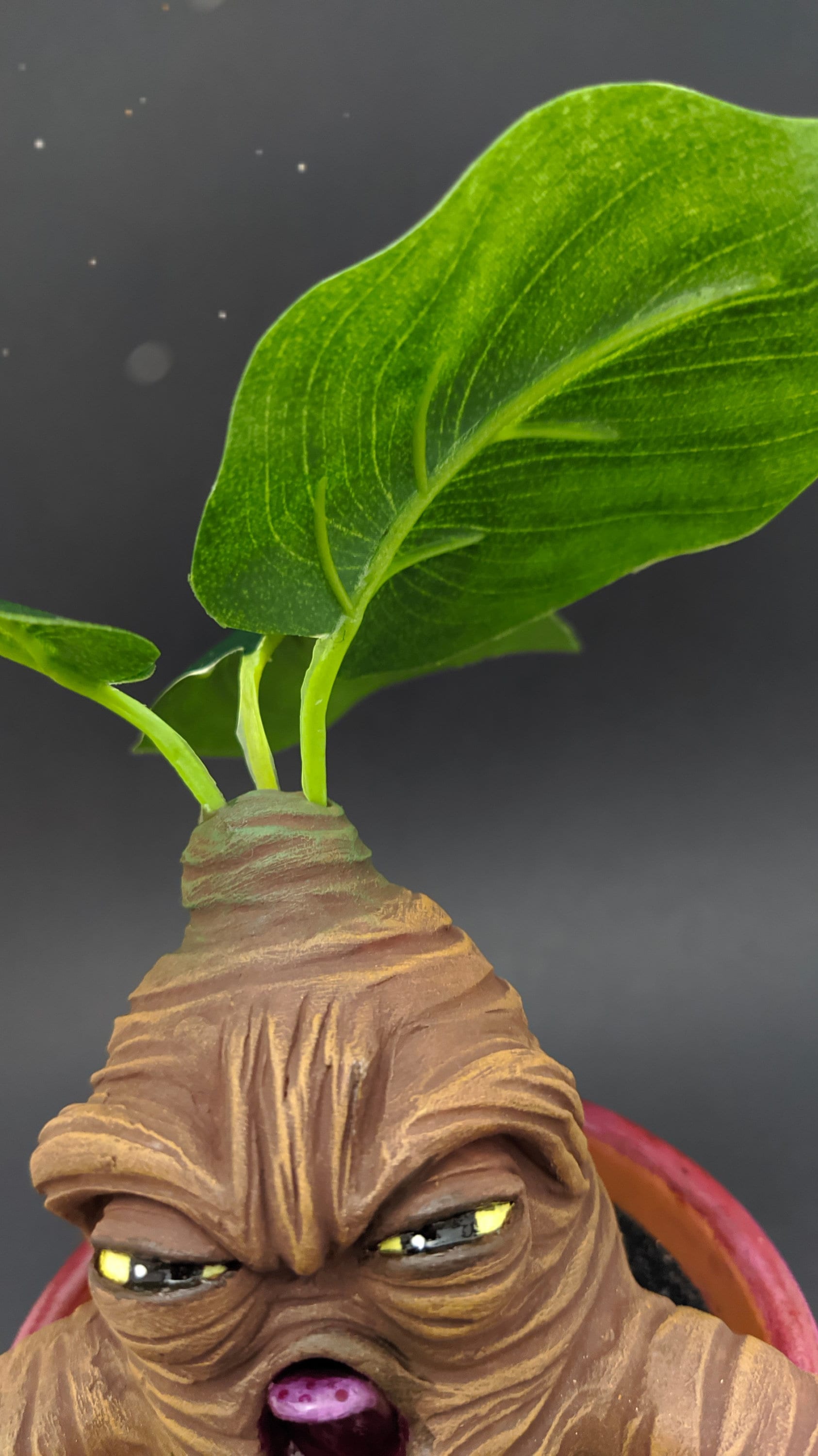Mandrake in a magenta flower pot screaming mandrake crying
