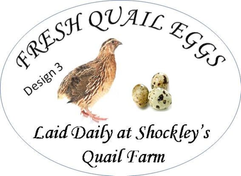 10 X Stylish Oval Quail Egg Box Labels 55x75mm Customised. Etsy UK