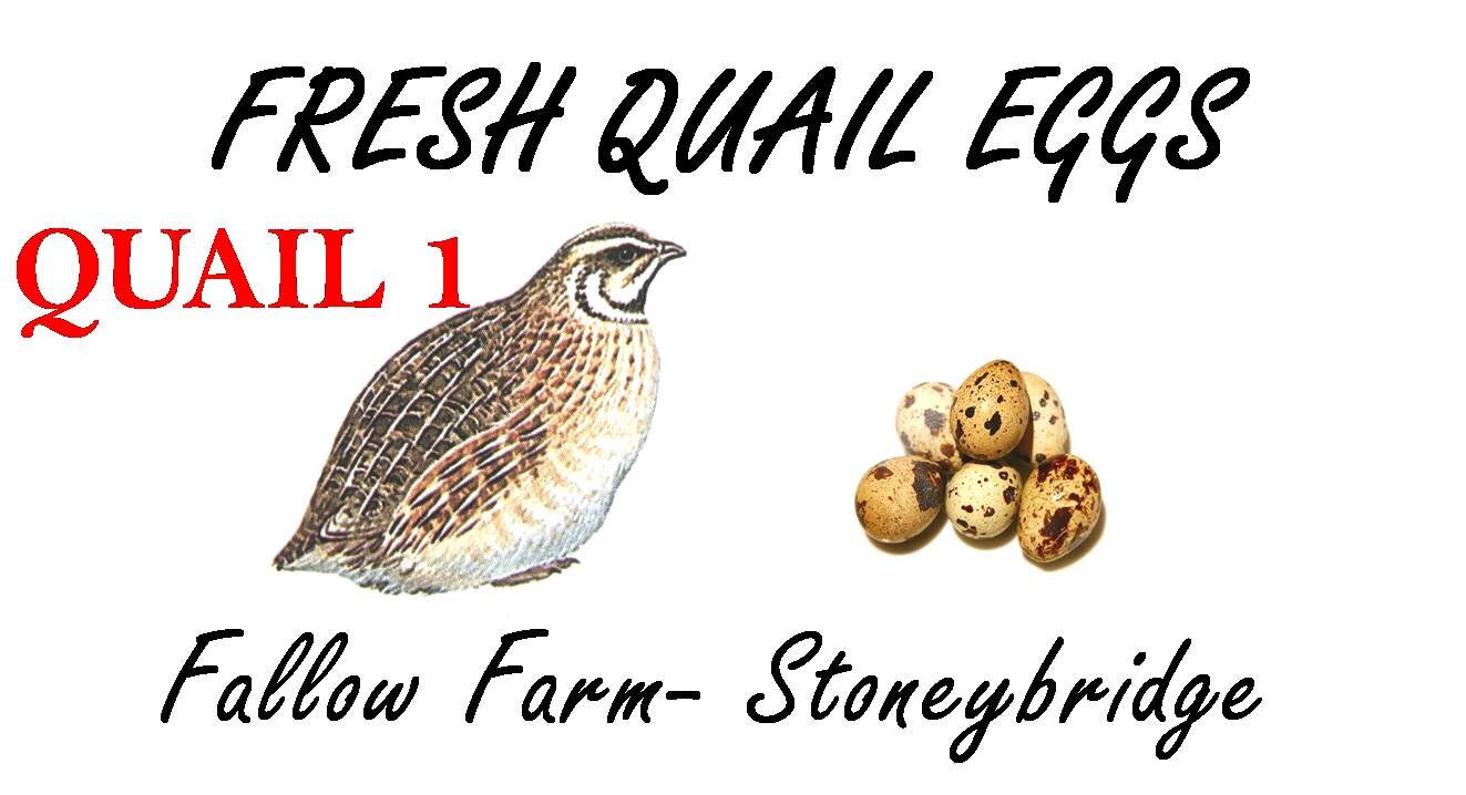 21 X Small Personalised Quail Egg Box Labels 70mm X 38mm Etsy