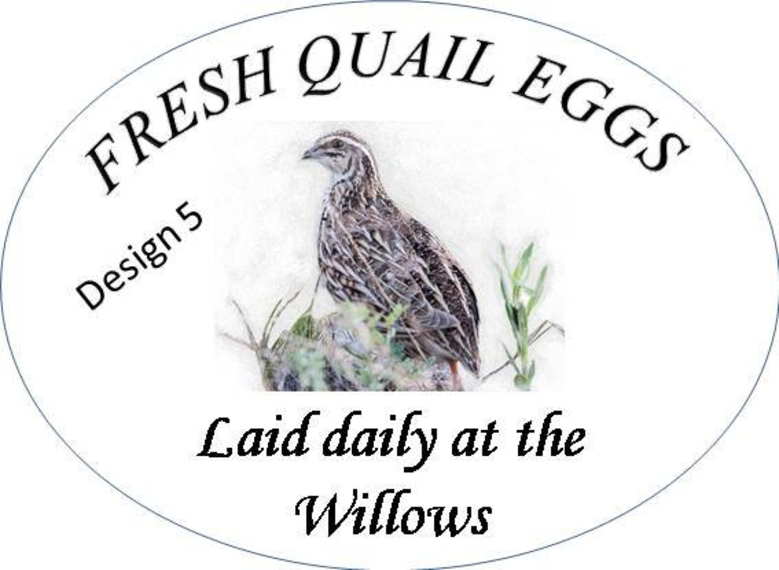 10 x Stylish Oval Quail egg box labels 55x75mm Customised. Etsy