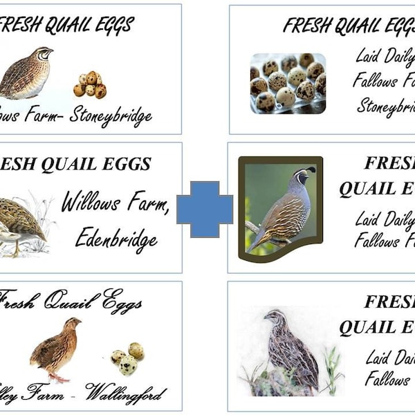 Quail Egg Carton Label Etsy UK