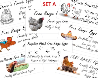 24 x Attractive Custom Chicken egg box or carton labels, small size, Choose your sticker, write your text 70x35 or 64x 34 (mm)