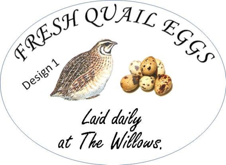 10 X Stylish Oval Quail Egg Box Labels 55x75mm Customised. Etsy UK