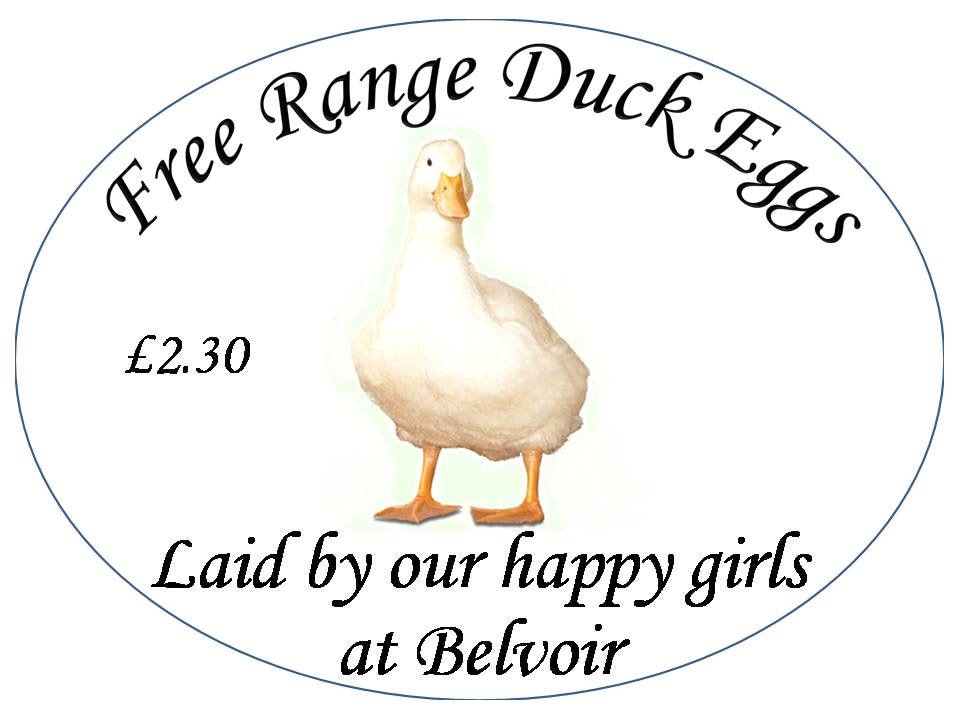 10 Oval Customised Duck Egg Box Labels Medium 75mm X 55mm - Etsy UK