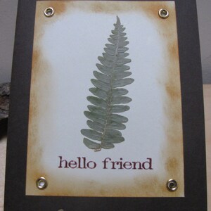 Bonjour ami Fern carte de voeux