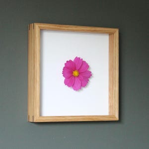 May include: A framed pressed flower art piece. The artwork features a vibrant pink cosmos flower with a yellow center, set against a white background. The frame is made of light-colored wood, and the piece is mounted on a dark gray wall.