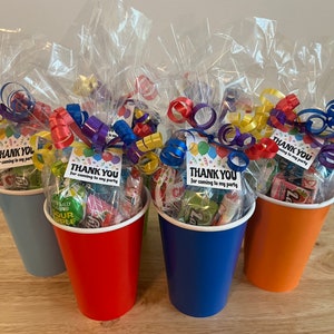 Birthday Party Favor Goody Bags! Pre Filled Goodie Bags!