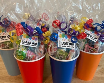 Birthday Party Favor Goody Bags! Pre Filled Goodie Bags!