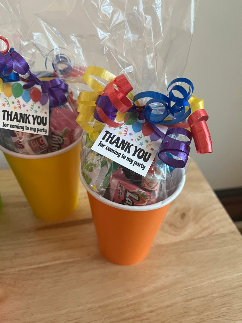 Birthday Party Favor Goody Bags Pre Filled Goodie Bags Etsy