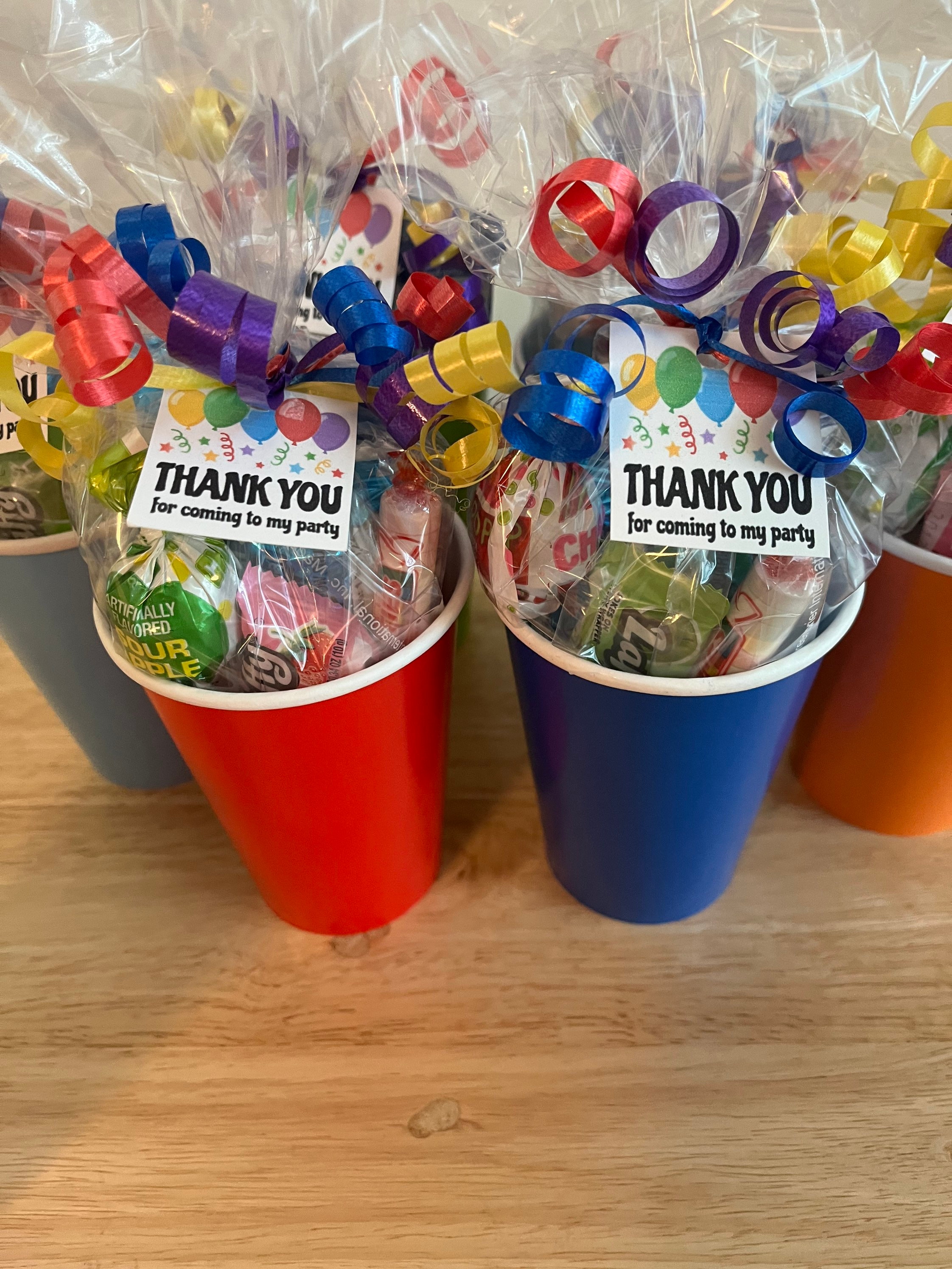 Birthday Party Favor Goody Bags Pre Filled Goodie Bags Etsy