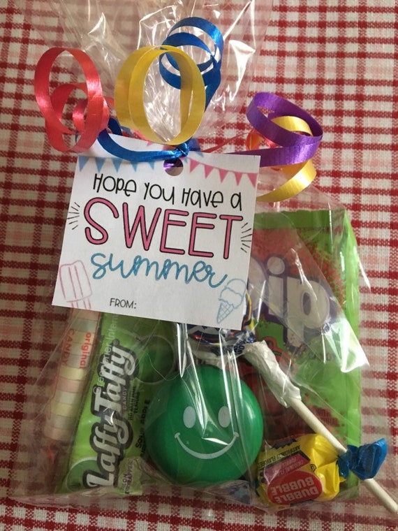 Summer Fun End of School Party Favors Pre Filled Goodie Etsy