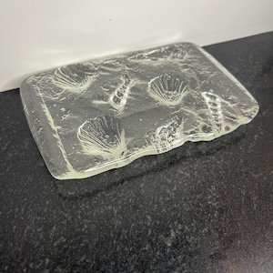 May include: A clear glass rectangular dish with seashell imprints. The dish has a textured surface and irregular edges. The seashell designs are visible within the glass, creating a decorative effect. The dish is likely used for serving or display.