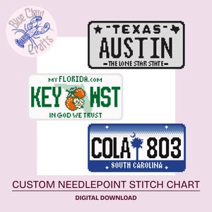 Puede incluir: Gráfico de punto de cruz digital con matrículas pixeladas de Texas, Florida y Carolina del Sur. La placa de Texas dice "Austin", la de Florida "Key West" y la de Carolina del Sur "Cola 803".
