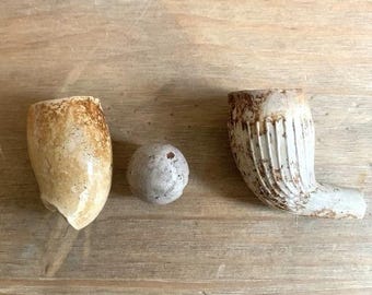 Clay pipes found Mudlarking