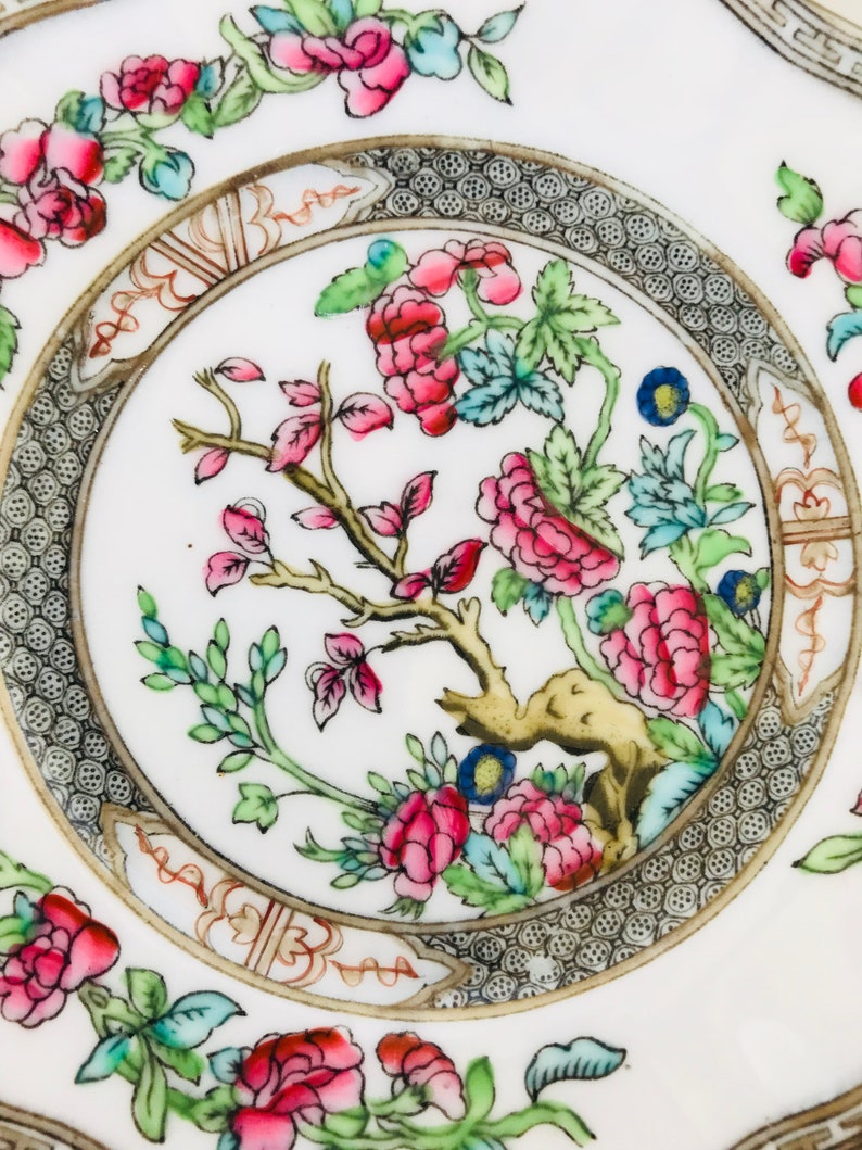 Vintage Coalport Indian Tree China Plate Set