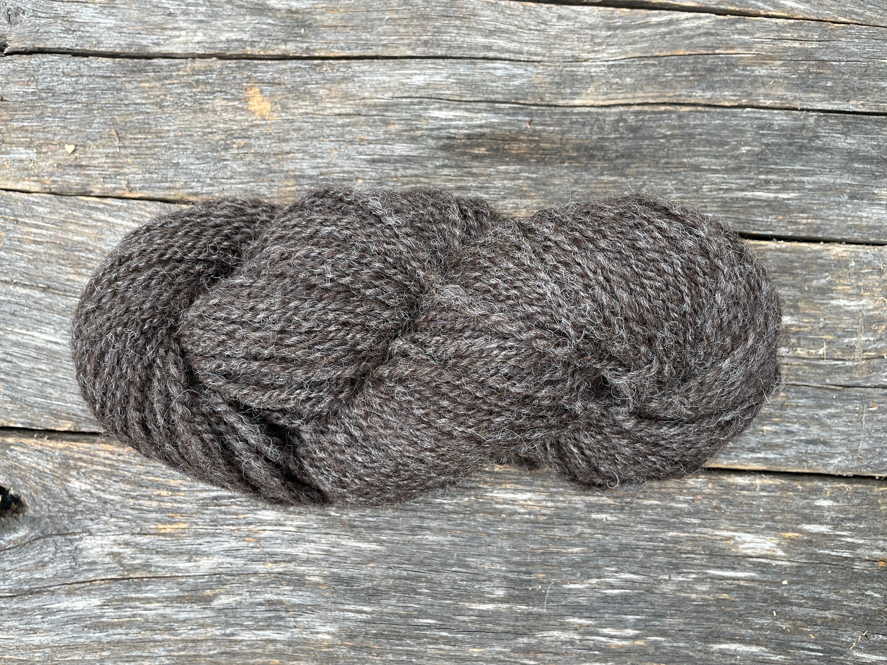 Coopworth Hogget Wool Roving - 4 oz - Moorit – The Yarn Shop at