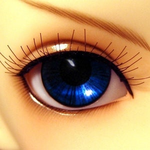 May include: Close-up of a blue eye with long black eyelashes. The eye is surrounded by a light brown eyebrow.