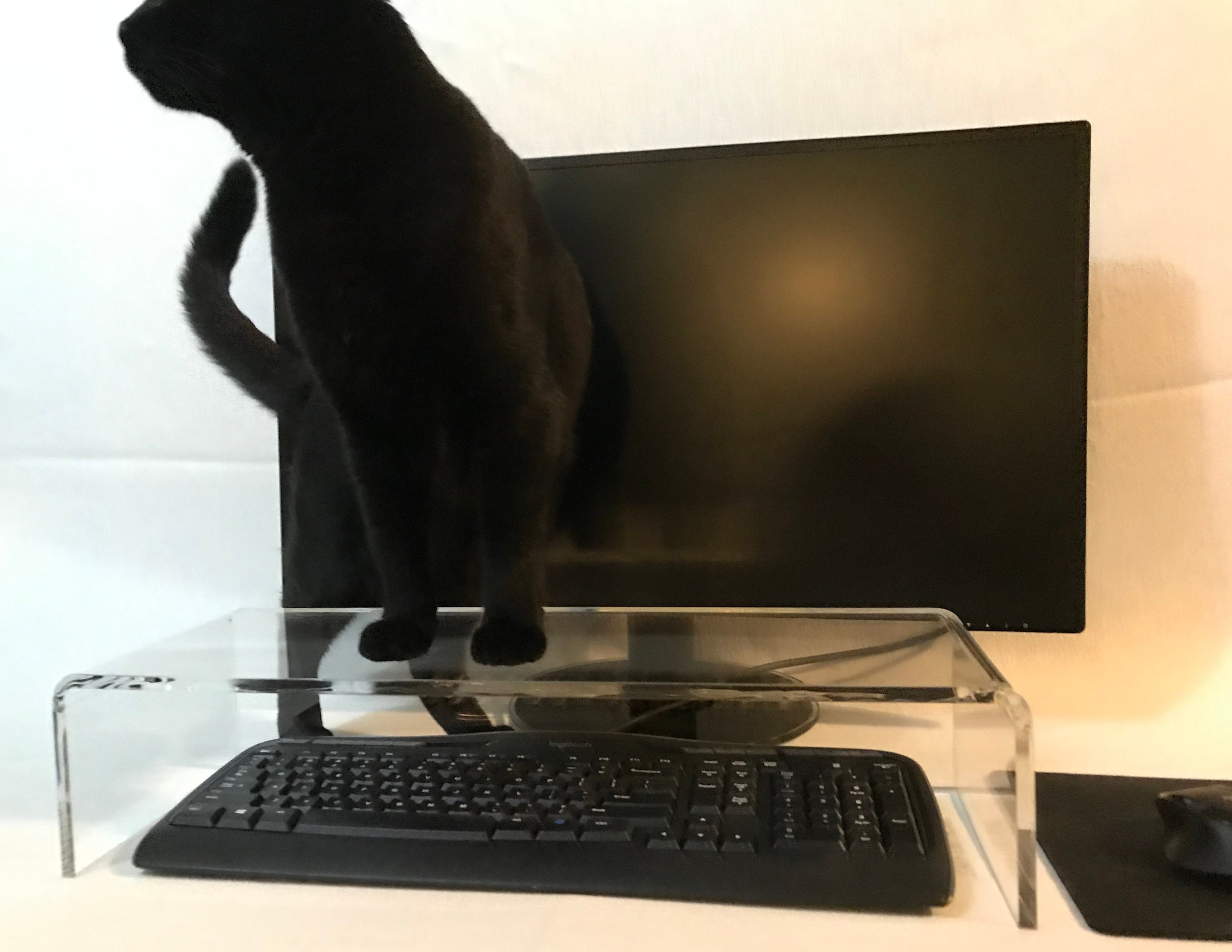 Cat Keyboard Cover Etsy