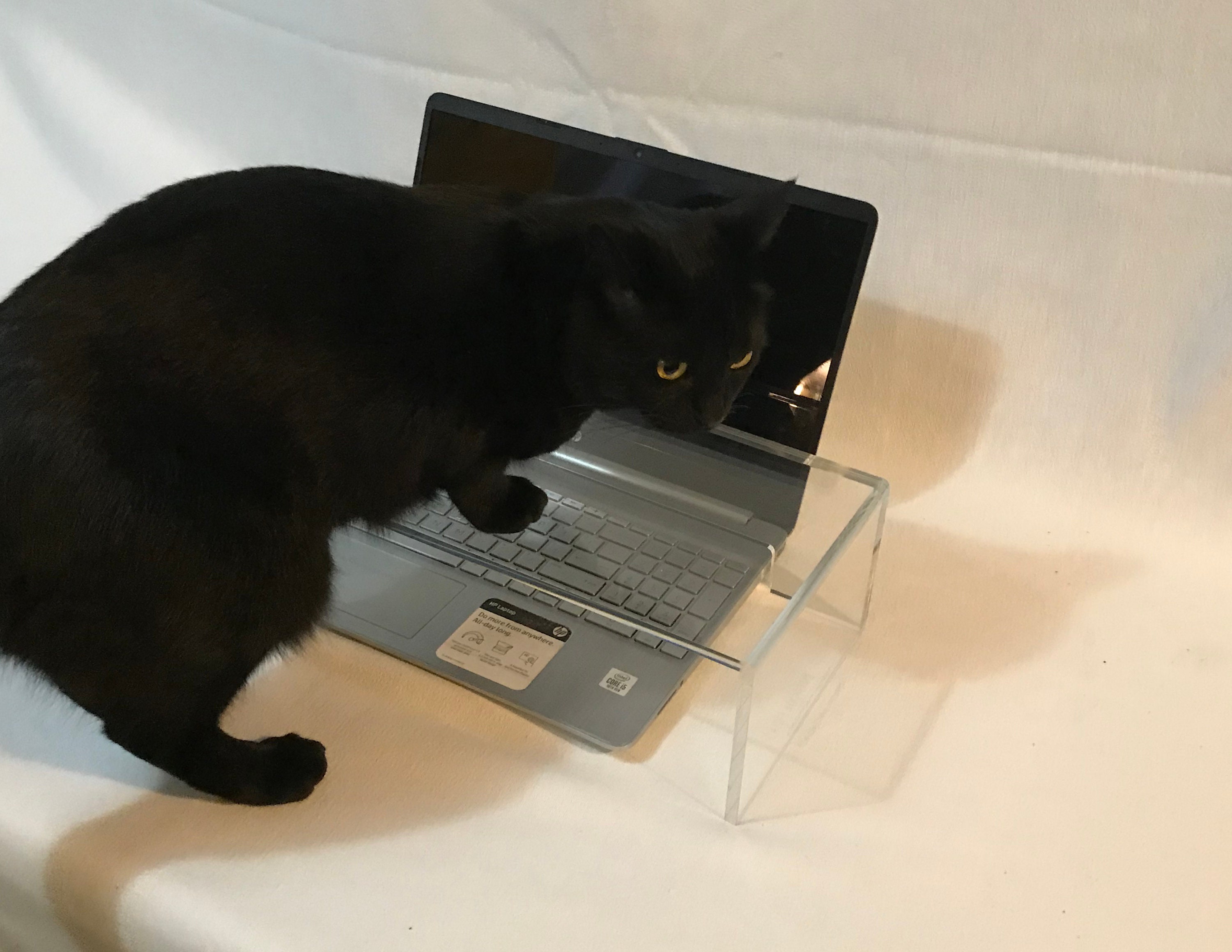 Cat Keyboard Cover Etsy