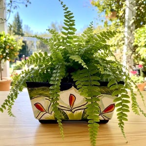 May include: A vibrant green fern plant potted in a rectangular ceramic planter. The planter features a hand-painted design with white, green, and orange floral-like motifs against a cream background, with a solid black rim and base.