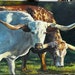 see more listings in the Animals painting  section